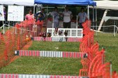 Enlarge photo 77
