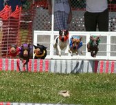 Enlarge photo 90