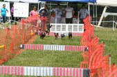 Enlarge photo 76