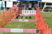 Enlarge photo 78