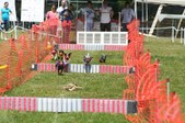 Enlarge photo 79