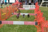 Enlarge photo 81