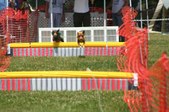 Enlarge photo 92