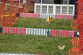 Enlarge photo 105