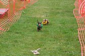 Enlarge photo 107