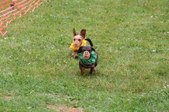 Enlarge photo 108