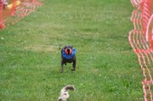 Enlarge photo 112