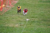 Enlarge photo 117