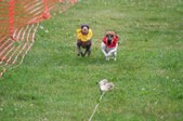 Enlarge photo 118