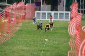 Enlarge photo 123