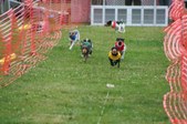 Enlarge photo 124