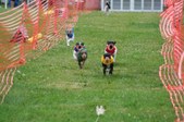 Enlarge photo 126