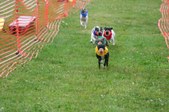 Enlarge photo 125