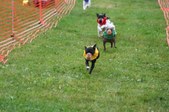 Enlarge photo 127