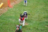 Enlarge photo 129