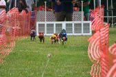 Enlarge photo 133