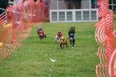 Enlarge photo 132