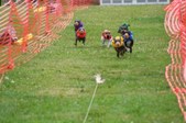 Enlarge photo 136