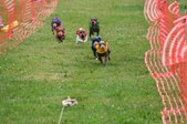 Enlarge photo 134