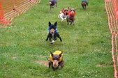 Enlarge photo 138