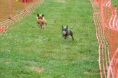 Enlarge photo 146