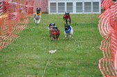 Enlarge photo 145