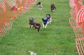 Enlarge photo 149