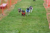 Enlarge photo 148
