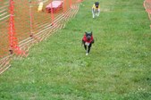 Enlarge photo 152