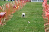Enlarge photo 155