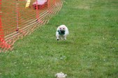 Enlarge photo 156