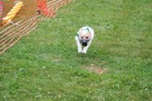Enlarge photo 159