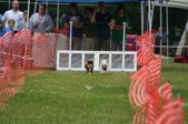 Enlarge photo 157