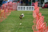 Enlarge photo 158