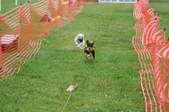 Enlarge photo 162