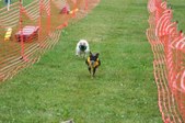 Enlarge photo 166