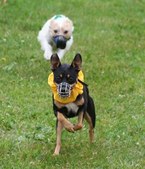 Enlarge photo 163