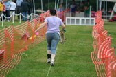 Enlarge photo 165