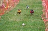 Enlarge photo 167