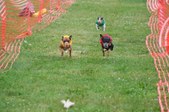 Enlarge photo 169