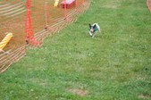 Enlarge photo 170