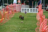 Enlarge photo 173