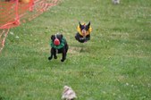Enlarge photo 174