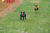 Enlarge photo 175