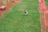 Enlarge photo 176