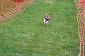 Enlarge photo 177
