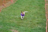 Enlarge photo 178