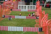 Enlarge photo 210