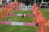 Enlarge photo 212