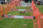 Enlarge photo 213
